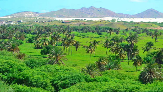 Tour del nord-est di Boa Vista + Spiaggia di Ervatão - Foto 3