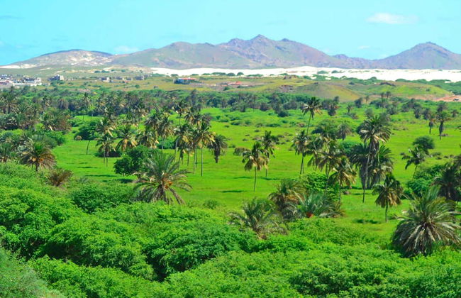 North East Boa Vista + Ervatão Beach Tour - Foto 3