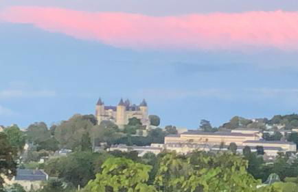 Magnifique maison de maître saumuroise - Foto 34