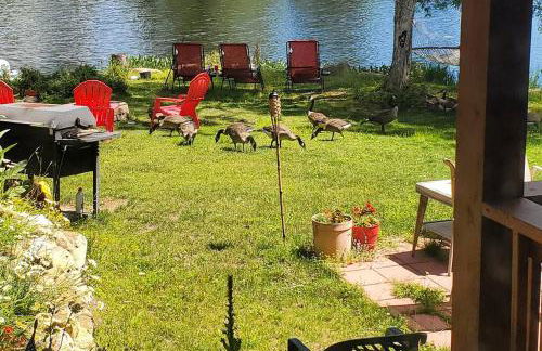 Balsam Point Lakefront - Foto 54