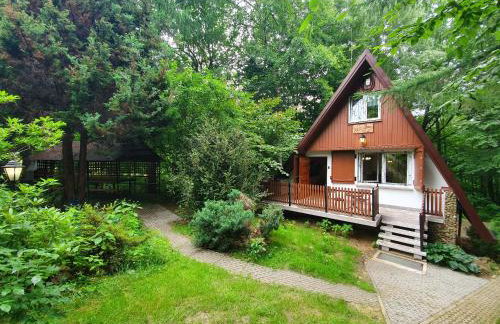 Leśny Zakątek - Foto 1