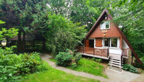 Leśny Zakątek - Foto 1, Garden