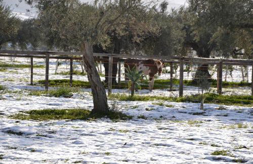 Terre di Senia - Foto 43