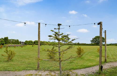 Laurel Pod - Uk47203 - Foto 10