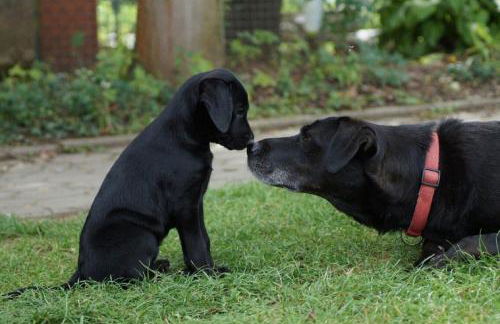 Ferienwohnungen Lindleshof - Foto 63