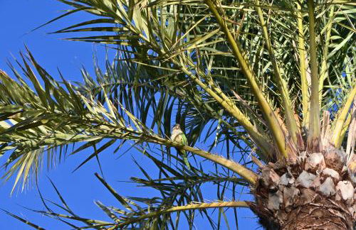 Villa La Mariposa - Foto 40