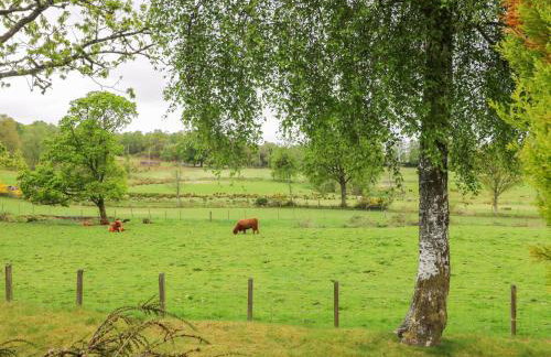 The Four Oaks Chalet - Foto 23