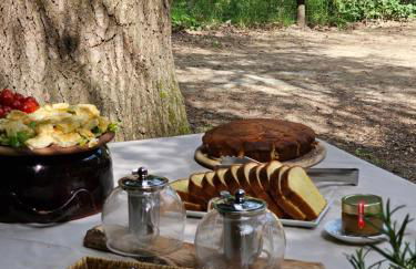 Fattoria di Maiano - Foto 44