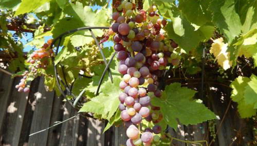 Beautiful Home in Quiet Area - Foto 4