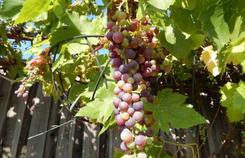 Beautiful Home in Quiet Area - Foto 4