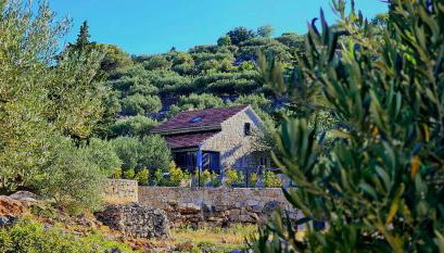 Villa Broč - Foto 4, Garden view