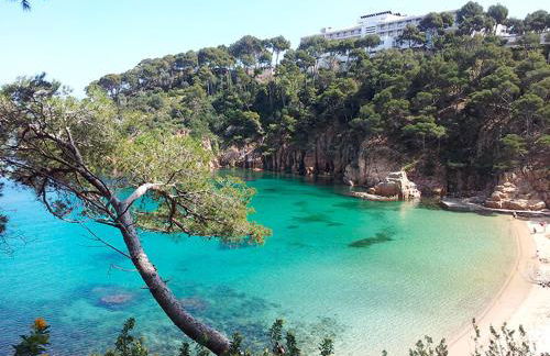 Magnifique villa vue mer - Foto 30