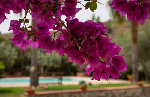 Tenuta Severino - Foto 11