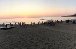 I due carrubi - Foto 49