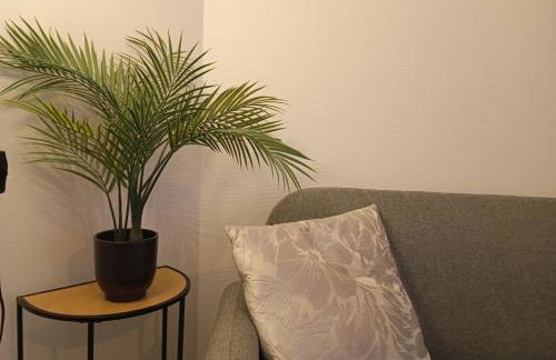 Les charmes de la Kirneck - Photo 4