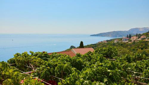 Apartman Ani - Foto 3