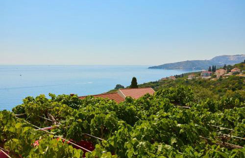 Apartman Ani - Foto 3