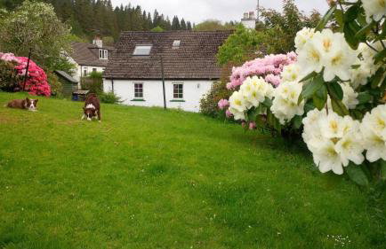 Argyllholidaycottage Loch Awe - Foto 24