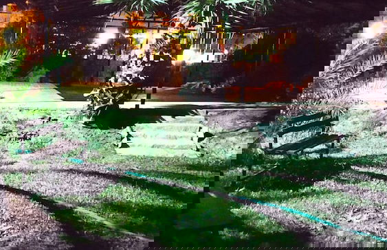 The Palm Apart Sarigerme - Foto 63