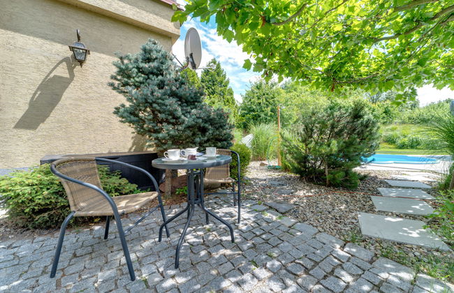 W Starym Sadzie - Foto 24