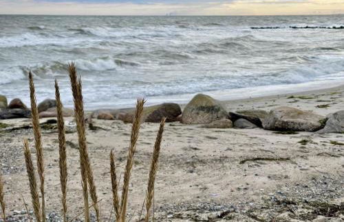 DAHMER STRAND No13 - Foto 20