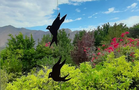 Abigails Garden Cottage - Foto 41