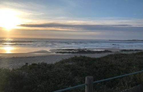 Árvore Cozy com Jardim - Foto 39