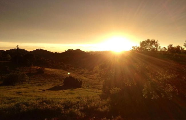 Biovilla Sustentabilidade - Foto 38