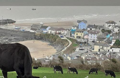 Newquay Haven caravan 42x14 with Ocean Views - Foto 84