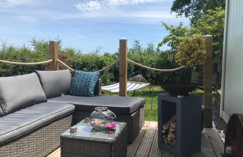 Shepherds Hut with Hot Tub - Foto 10