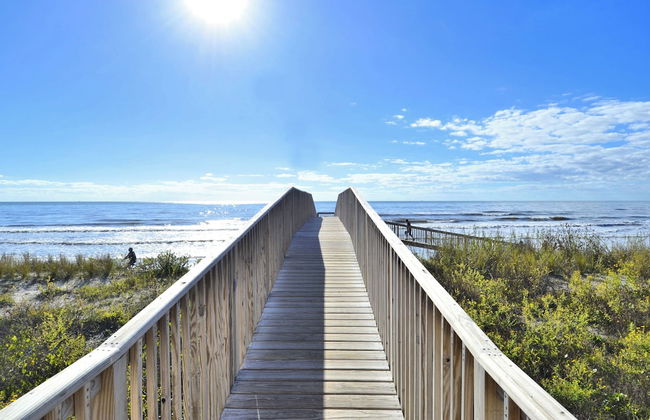 Seascape 1110 - Parrot Paradise - Foto 22