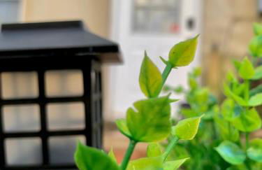 Cozy Corner - Foto 39