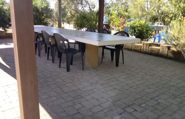 Azienda Agrituristica Le Betulle - Foto 50