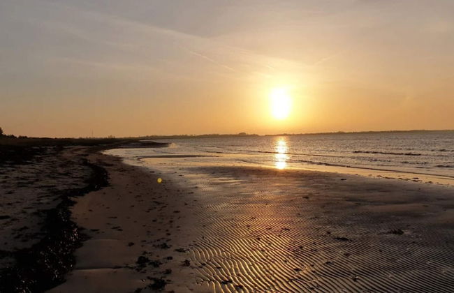 Simplistic Holiday Home in GÃ¸rlev near Sea - Photo 56