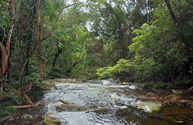 Hospedagem Casa Do Chapéu Caparaó - Cabana Estrela - Foto 22
