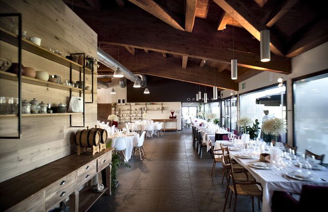 Discover the wine producers of Emilia Romagna - Photo 19