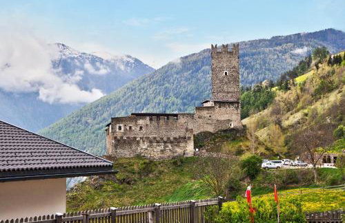 Ferienwohnungen Zwick Spinei - Foto 16