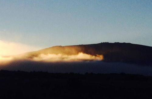 Garden Oasis at Banana Hale Studio - Foto 10