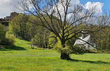 Zum Elleblick - Foto 36