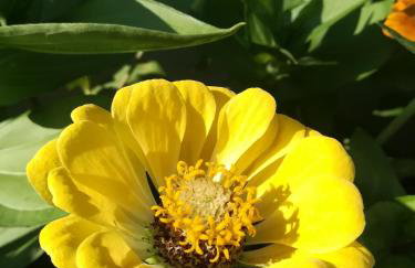 Apartments Eliva - Foto 46