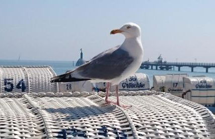 Ferienhof Kruse Wohnung 4 - Foto 18