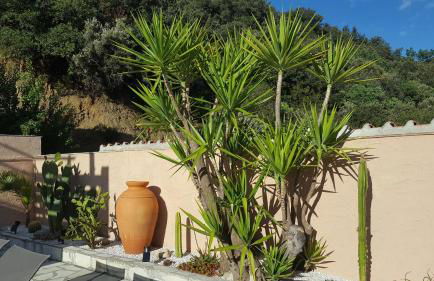 Mas Solar D'en Malcion - Foto 13