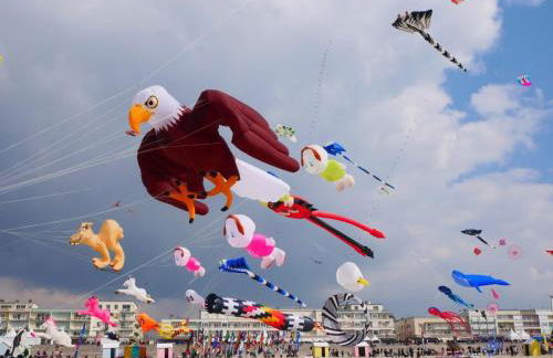 Évasion en Côte d'opale Classé 2 étoiles possibilité de parking - Foto 24