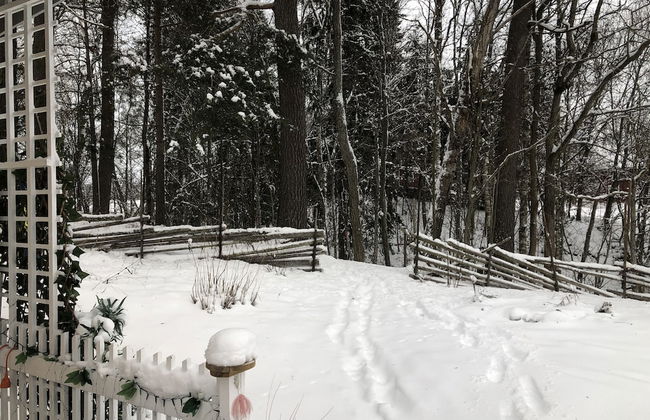 Apple Tree Cabin With River Views - Foto 34