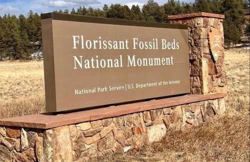 Cozy Cabin - Foto 37