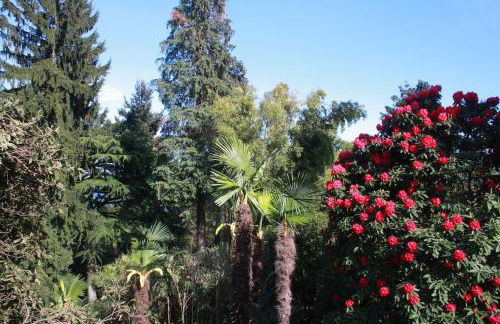 La Camelia d'Oro - Foto 35