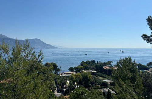 Residence Butterfly - Foto 40