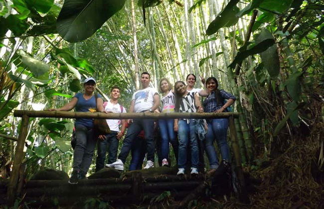 Visite de la ferme de Mama Lulu - Photo 9