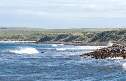 Horsemans - Photo 12