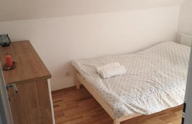 Dom nad jeziorem z prywatnym pomostem i linią brzegową - Foto 4